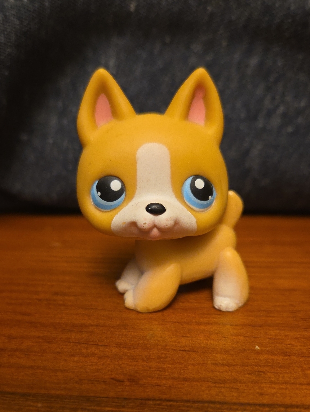 LPS Littlest Pet Shop German Shepherd Dog No # - Unnumbered - Rare